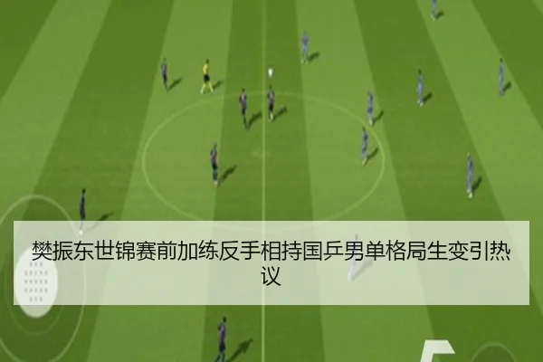 樊振东世锦赛前加练反手相持国乒男单格局生变引热议